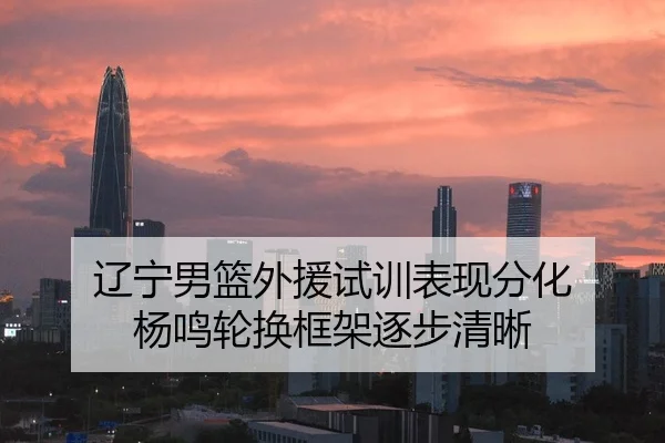 辽宁男篮外援试训表现分化 杨鸣轮换框架逐步清晰